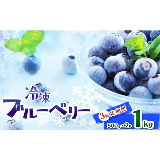 ふるさと納税 果物類 栃木県 那珂川町 定期便3回 完熟 冷凍ブルーベリー 約 1kg | 完熟 冷凍 Blueberry ブルーベリー ベリー 不揃い 果物 くだもの 健康意識 …