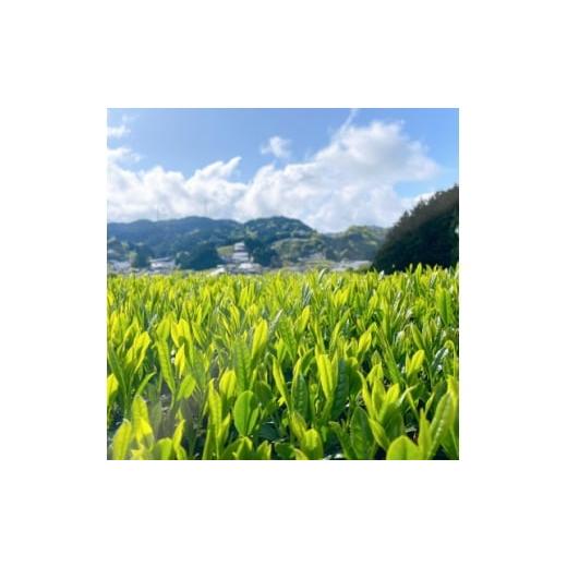 ふるさと納税 お茶類 京都府 和束町  6本 和束茶の香りを存分に味わうスパークリングティー | Apoptosis Sparkling 1651761の画像