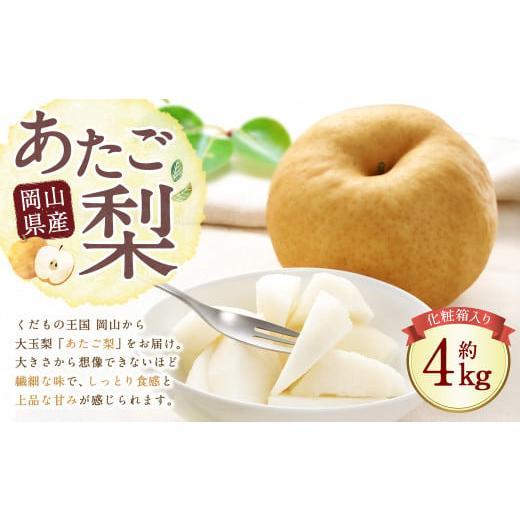 ふるさと納税 梨 岡山県 美咲町 岡山県産 あたご梨 3〜6玉 (約4kg) 化粧箱入り 2026年11月下旬〜12月下旬迄発送予定 / なし 和梨 果物 果実 フルーツ 大玉 …