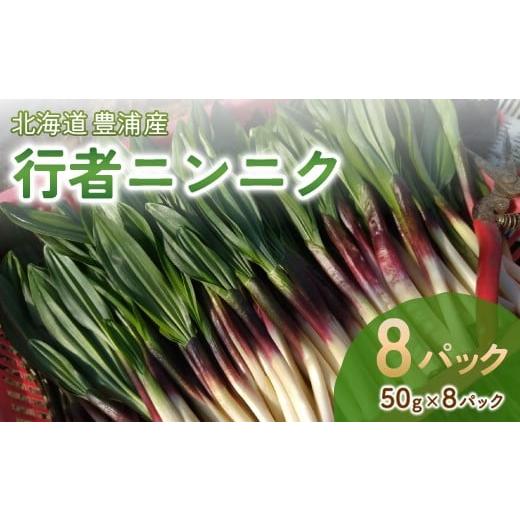 ふるさと納税 セット・詰合せ 北海道 豊浦町 令和8年2月上旬以降発送 行者ニンニク 50g×8パック 北海道 豊浦町産 アイヌネギ ヒトビロ キトビロ ふるさと納…