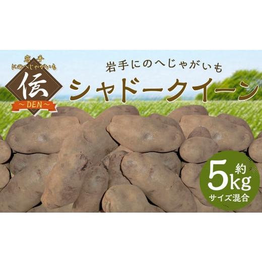 ふるさと納税 野菜類 じゃがいも 岩手県 二戸市 厳選品 岩手にのへじゃがいも「伝」シャドークイーン(サイズ混合) 5kg 2026年9月中旬から2027年2月下旬発送…