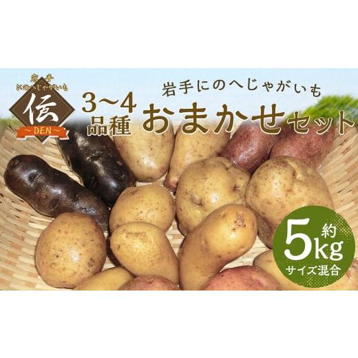 ふるさと納税 野菜類 じゃがいも 岩手県 二戸市 厳選品 岩手にのへじゃがいも「伝」3〜4種 品種おまかせ (サイズ混合) 5kg 2026年9月中旬から2027年2月下旬発…