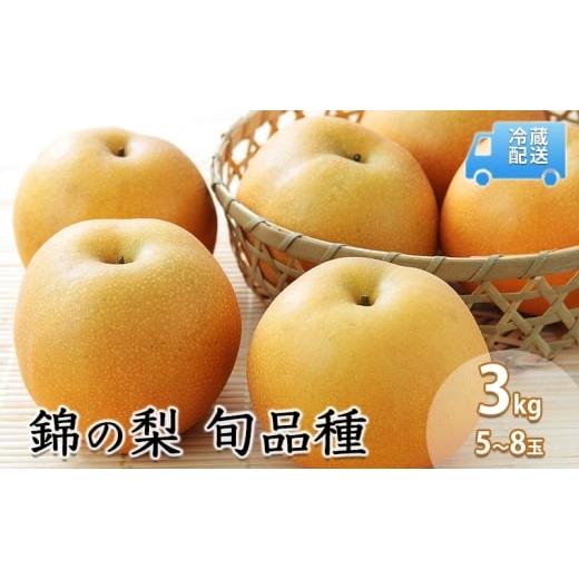 ふるさと納税 梨 熊本県 錦町 梨 3kg 先行予約 錦の梨 約5玉〜8玉 フルーツ なし ナシ 果物 デザート 2025年発送 古里農園 配送不可:離島