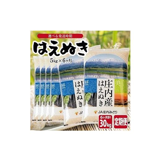ふるさと納税 米 はえぬき 山形県 遊佐町 定期便 はえぬき5kg×6ヶ月連続(4月〜9月) 令和8年4月~令和8年9月発送