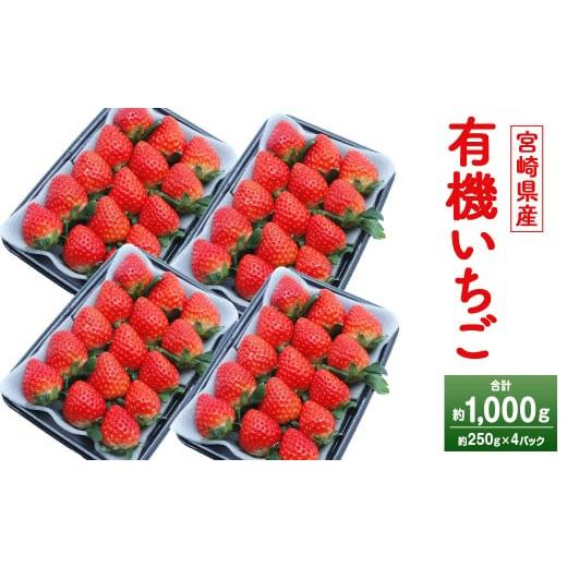 ふるさと納税 いちご 宮崎県 高鍋町 宮崎県産 有機いちご 約1kg(約250g×4パック) 2026年1月下旬〜3月上旬迄に順次出荷 フルーツ 果物 くだもの いちご イ…