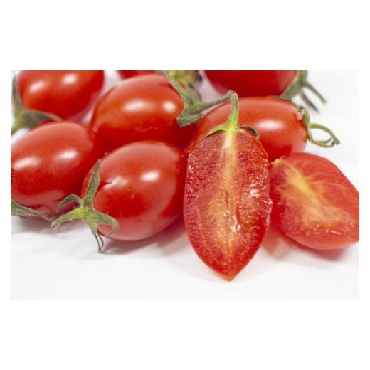 ふるさと納税 トマト ミニトマト 和歌山県 高野町 4月発送 ミニトマトアイコ(松トマト) 約2kg(S・M・Lサイズおまかせ) 4月発送