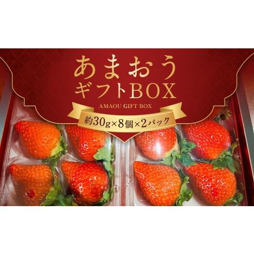 ふるさと納税 いちご 福岡県 柳川市 あまおう ギフト BOX 約30g×8個×2パック 計約480g 苺 いちご イチゴ 果物 くだもの フルーツ 冷蔵 国産 2026年1月上旬〜…