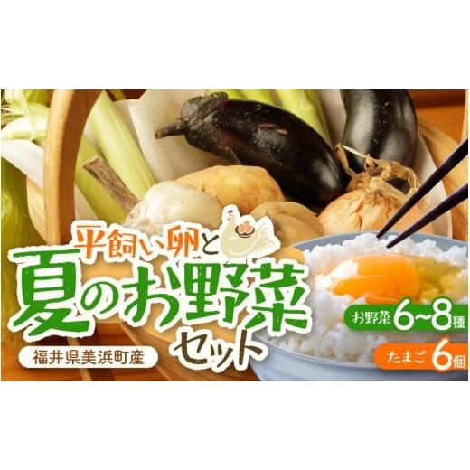 ふるさと納税 セット・詰合せ 福井県 美浜町 先行予約 お野菜セット 旬の夏野菜と平飼い卵のお楽しみボックス 2026年7月上旬以降順次発送予定 野菜 卵 セット…
