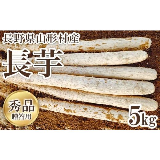 ふるさと納税 人参・大根・他根菜 長野県 山形村 3213 長野県山形村産 長いも 秀 5kg