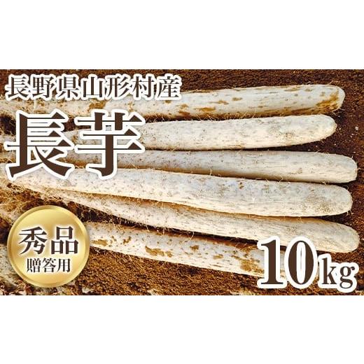 ふるさと納税 人参・大根・他根菜 長野県 山形村 3214 信州山形村産 長いも 秀 10kg