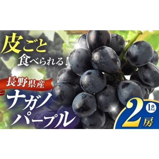 ふるさと納税 果物類 ぶどう 長野県 松川村 ナガノパープル 2房 約1kg 2026年先行予約 | ヤマモ農園 果物 ぶどう 葡萄 ナガノパープル フルーツ デザート 食後…