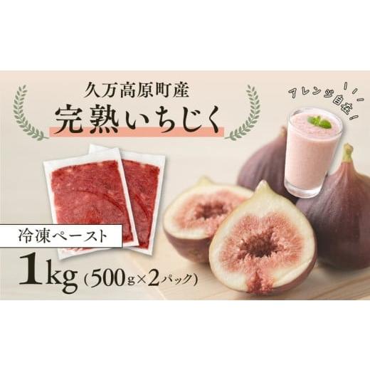 ふるさと納税 いちじく 愛媛県 久万高原町 冷凍 完熟いちじくペースト 1kg(500gx2P) | 愛媛県 久万高原町 完熟 冷凍 いちじく イチジク 無花果 果物 フルー…