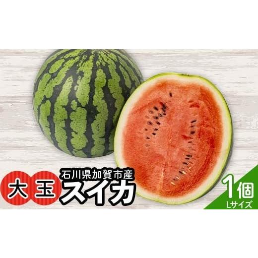 ふるさと納税 スイカ 石川県 加賀市 浜井さんの甘い 大玉スイカ 石川県加賀市産 1個 スイカ 西瓜 デザート フルーツ 果物 F6P-3172 Lサイズ(6~7kg/玉)1個入…