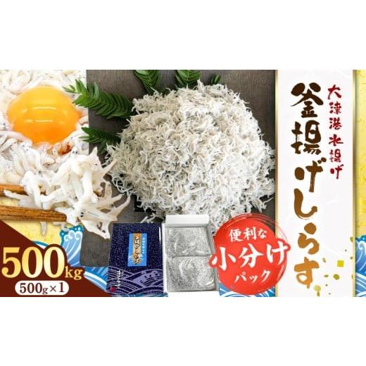 ふるさと納税 魚貝類 しらす 茨城県 河内町 釜揚げしらす 小分け 大津港水揚げ しらす 500g (茨城県共通返礼品:北茨城市) 川崎水産有限会社 [30日以内に出荷…