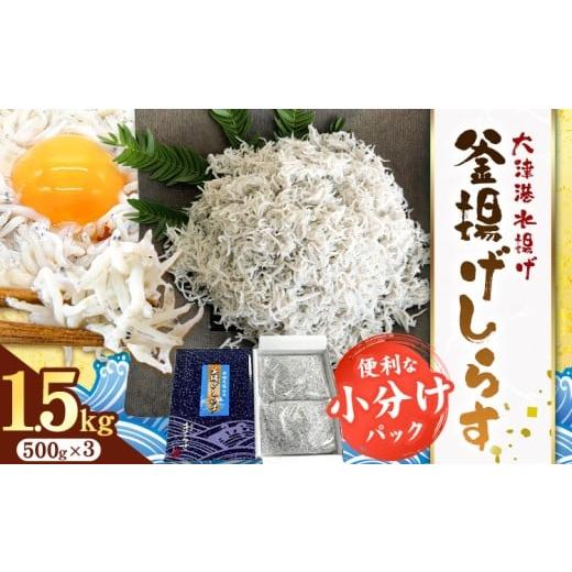 ふるさと納税 魚貝類 しらす 茨城県 河内町 釜揚げしらす 小分け 大津港水揚げ しらす 1.5kg (茨城県共通返礼品:北茨城市) 川崎水産有限会社 [30日以内に出…