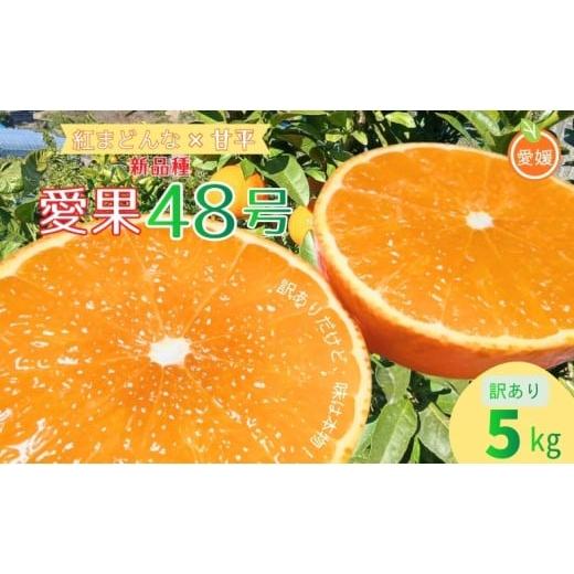 ふるさと納税 果物類 みかん 愛媛県 伊予市 みかん 愛果48号 5kg ご家庭用 紅プリンスと同一品種 農園直送 先行予約 3月下旬から順次発送予定 愛媛 数量限定 …