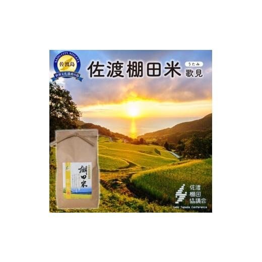 ふるさと納税 米 コシヒカリ 新潟県 佐渡市 佐渡島産コシヒカリ 歌見棚田米 白米2Kg 令和7年産
