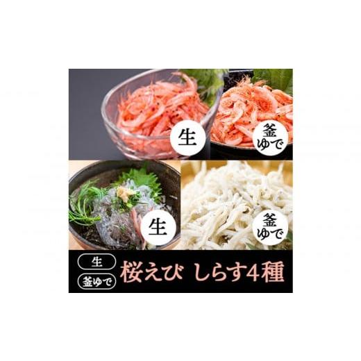 ふるさと納税 エビ 静岡県 静岡市 桜えび2種、しらす2種セット 配送不可:離島