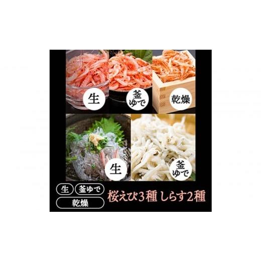 ふるさと納税 魚貝類 しらす 静岡県 静岡市 桜えび3種、しらす2種セット 配送不可:離島
