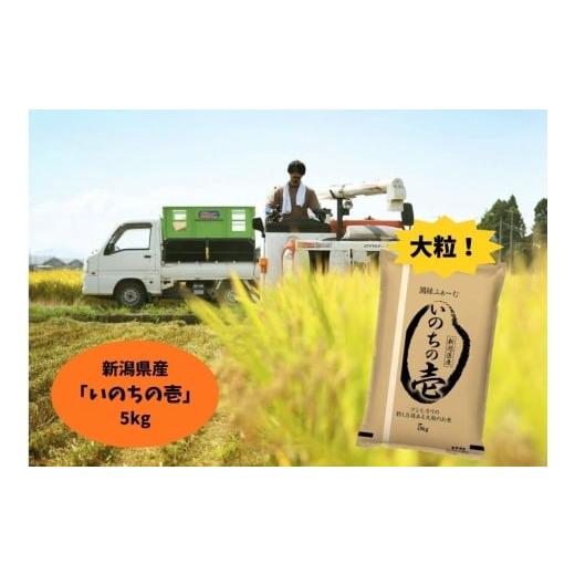 ふるさと納税 米 新潟県 阿賀野市 令和7年産 新潟県阿賀野市産 いのちの壱 5kg 3D12023
