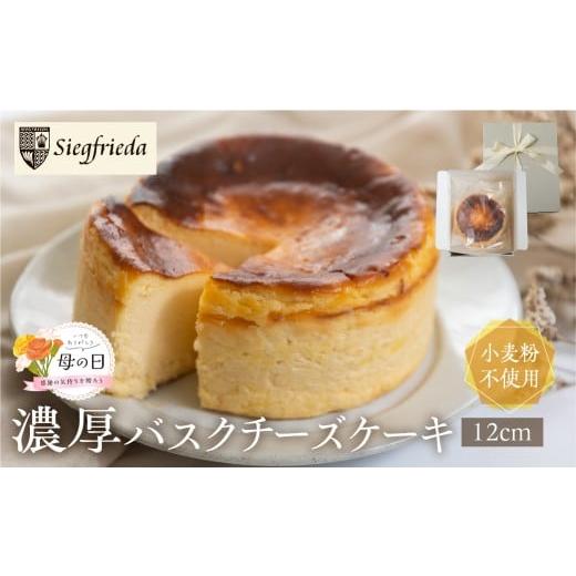ふるさと納税 ケーキ・カステラ チーズケーキ 岐阜県 下呂市 遅れてごめんね母の日(2026年5月11日〜15日お届け) バスクチーズケーキ(12cm×12cm)ホール …