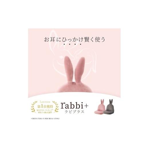 ふるさと納税 家具 インテリア・寝具・収納 岐阜県 各務原市 1160 rabbi+(ラビプラス) グレー グレー