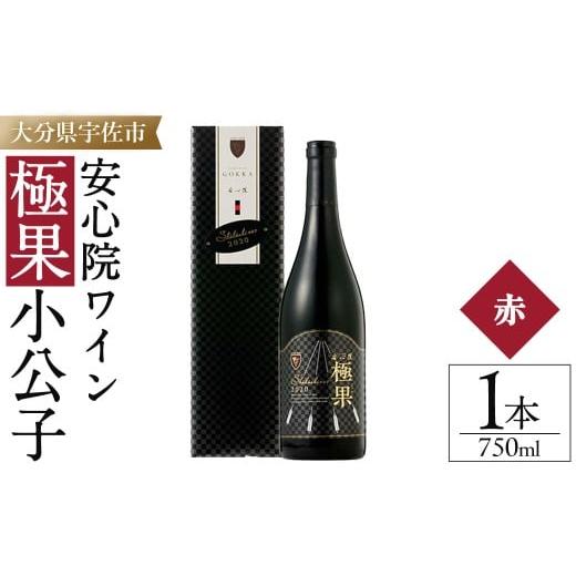 ふるさと納税 ワイン 赤ワイン 大分県 宇佐市 安心院ワイン 極果 小公子 専用カートン(化粧箱)入り(750ml) 酒 お酒 ワイン 赤ワイン アルコール 飲料 ぶどう …