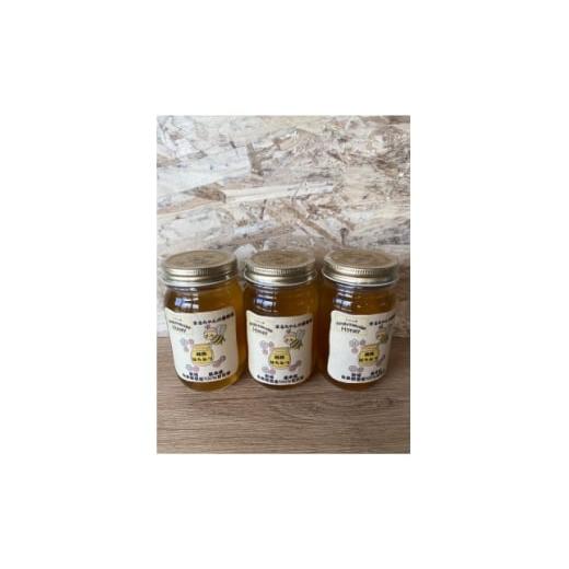 ふるさと納税 加工品等 はちみつ 愛知県 新城市 まるちゃん養蜂場 百花はちみつ 計900g(300g×3本) 1696688