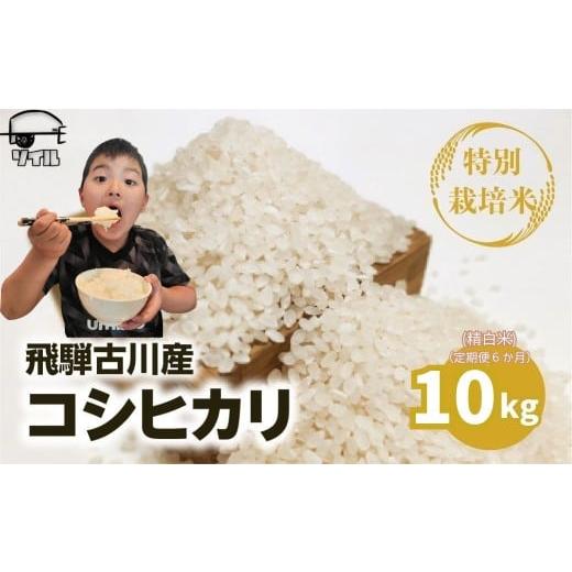 ふるさと納税 米 コシヒカリ 岐阜県 飛騨市 [先行予約] 令和8年産 定期便 飛騨産 特別栽培米 こしひかり 白米 10kg×6か月 計60kg コシヒカリ 新米 お米 米 …