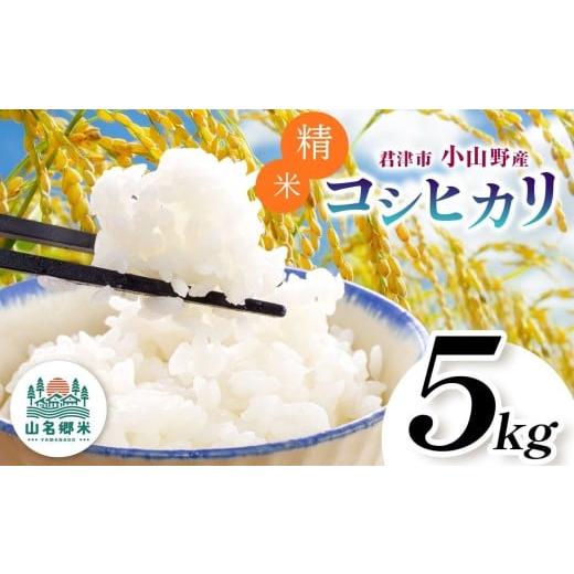 ふるさと納税 米 コシヒカリ 千葉県 君津市 精米 令和7年産 君津市小山野産 コシヒカリ 5kg | 2週間以内に発送 メディアで紹介 あかかげ農園 山名郷米 メディ…