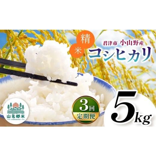 ふるさと納税 米 コシヒカリ 千葉県 君津市 定期便 3回 精米 令和7年産 君津市小山野産 コシヒカリ 5kg 3回 | あかかげ農園 千葉稲作 んまい こしひかり 千葉…