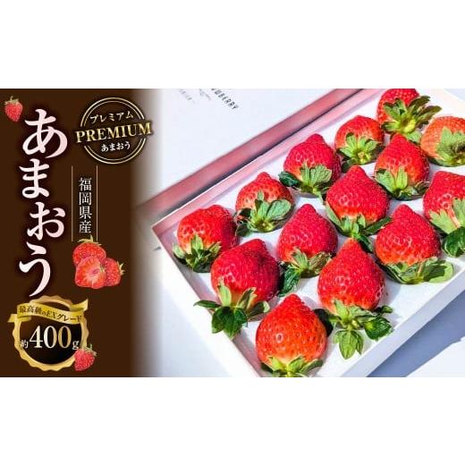 ふるさと納税 いちご 福岡県 太宰府市 化粧箱入り プレミアムあまおう 約400g×1パック ギフト・お祝い・贈答用 2026年2月上旬〜2026年4月上旬発送予定 EX い…