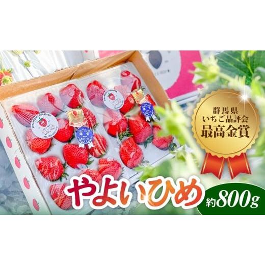 ふるさと納税 いちご 群馬県 前橋市 いちご やよいひめ 贅沢時間 約800g 群馬県いちご品評会最高金賞受賞 | 非日常 朝採れ やみつき高品質 たっぷり 贈答用 新…