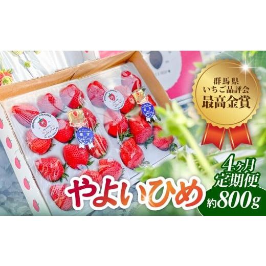 ふるさと納税 いちご 群馬県 前橋市 4ヶ月定期便 いちご やよいひめ 贅沢時間 約800g 群馬県いちご品評会最高金賞受賞 | 非日常 朝採れ やみつき高品質 たっ…
