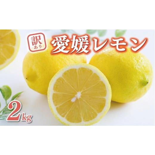 ふるさと納税 みかん・柑橘類 レモン 愛媛県 愛南町 数量限定 訳あり レモン 2kg 6000円 柑橘 サイズ 不揃い 家庭用 わけあり 檸檬 国産 フルーツ 果物 果実 …