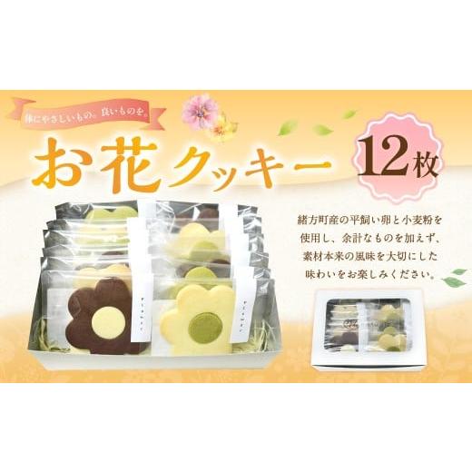 ふるさと納税 焼菓子・チョコレート クッキー 大分県 豊後大野市 184-1333 お花クッキー 12枚入り / クッキー クッキーボックス 菓子 洋菓子 焼き菓子 スイー…