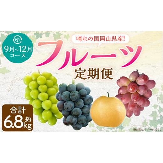 ふるさと納税 ぶどう マスカット 岡山県 奈義町 4回定期便 岡山県産 フルーツ定期便コース 計約6.8kg 2026年9月上旬発送開始 ニューピオーネ 瀬戸ジャイアン…