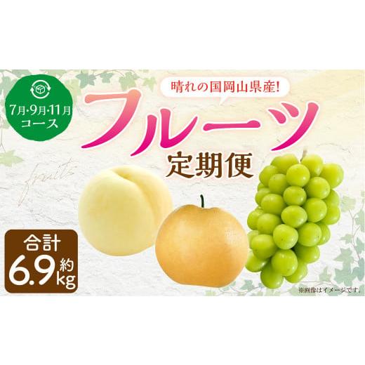 ふるさと納税 もも 岡山県 奈義町 3回定期便 岡山県産 フルーツ定期便コース (白桃・ 晴王・あたご梨) 計約6.9kg 2026年7月上旬発送開始 白桃 桃 もも シャ…