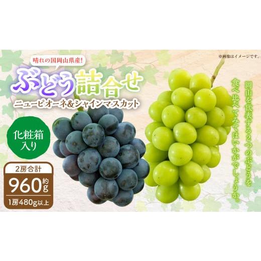 ふるさと納税 ぶどう マスカット 岡山県 奈義町 岡山県産 ぶどう詰合 ニューピオーネ 1房・シャインマスカット 晴王 1房 (各480g以上) 化粧箱入り 2026年8月…