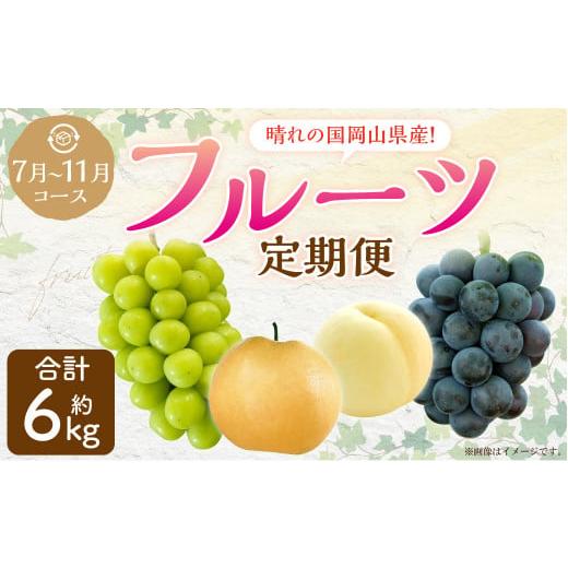 ふるさと納税 もも 岡山県 奈義町 5回定期便 岡山県産 フルーツ定期便コース 2026年7月上旬発送開始 定期便 フルーツ 果物 くだもの 葡萄 ぶどう ブドウ 梨 …