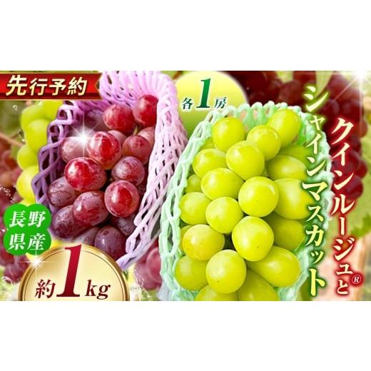 ふるさと納税 ぶどう マスカット 長野県 松川村 クインルージュ? と シャインマスカット 各1房 約1kg 2026年先行予約 | ヤマモ農園 果物 ぶどう 葡萄 シャイン…