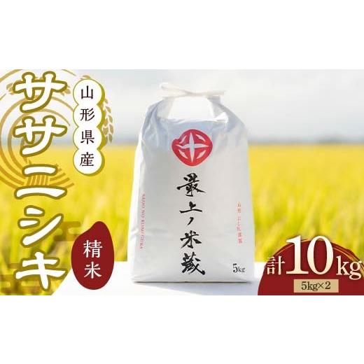 ふるさと納税 米 ササニシキ 山形県 新庄市 令和7年産 ササニシキ 5kg×2 計10kg 精米 最上ノ米蔵 山形県産 ささにしき こめ 米 白米