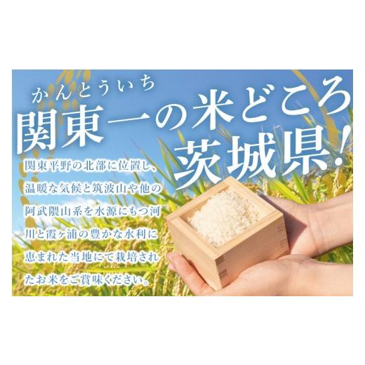 ふるさと納税 米 茨城県 阿見町 茨城県産にじのきらめき　精米　20kg｜精米 定期便 お米 米 こめ コメ ごはん 白米 阿見町 茨城県 茨城県産 茨城県産米 安心 …