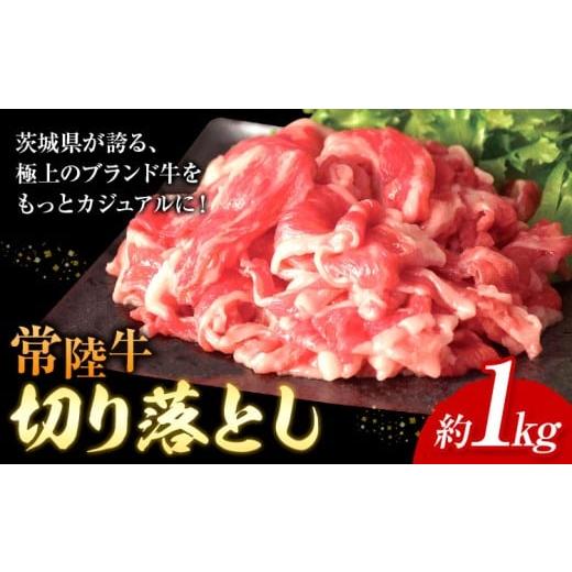 ふるさと納税 牛肉 茨城県 河内町 常陸牛 切り落とし 500g × 2パック 1kg (茨城県共通返礼品:茨城県産) ワークミート[30日以内に出荷予定(土日祝除く)]茨…