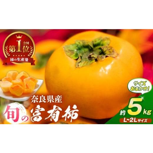 ふるさと納税 果物類 柿 奈良県 五條市 旬の富有柿 サイズおまかせ L〜2L 約 5kg | 大人気 人気 富有 柿 かき フルーツ 果物 奈良県 五條市 なかにし農園 ギ…