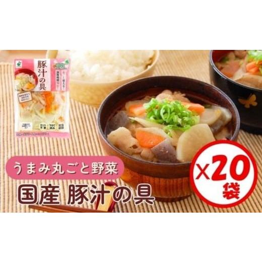 ふるさと納税 加工品等 富山県 射水市 「うまみ丸ごと野菜 国産豚汁の具 390g」×20袋 離島への配送不可