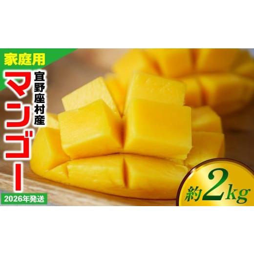 ふるさと納税 マンゴー 沖縄県 宜野座村 2026年発送 ご家庭用マンゴー 約2kg 宜野座村産 沖縄 南国 先行予約 期間限定 マンゴー 果物 くだもの フルーツ 果実…