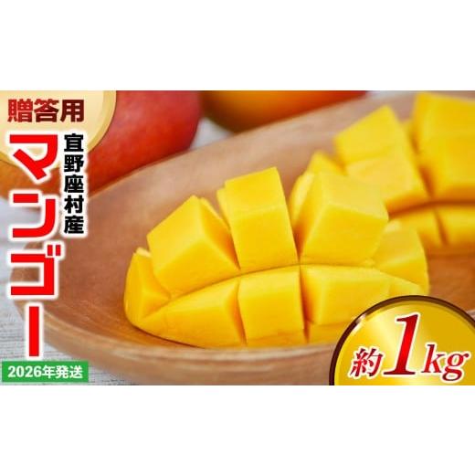 ふるさと納税 マンゴー 沖縄県 宜野座村 2026年発送 贈答用マンゴー 約1kg 宜野座村産 沖縄 南国 先行予約 期間限定 マンゴー 果物 くだもの フルーツ 果実 …