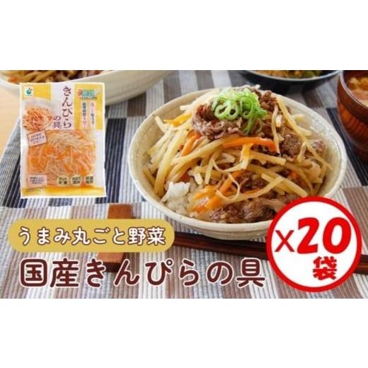 ふるさと納税 加工品等 富山県 射水市 「うまみ丸ごと野菜 国産きんぴらの具 200g」×20袋 離島への配送不可