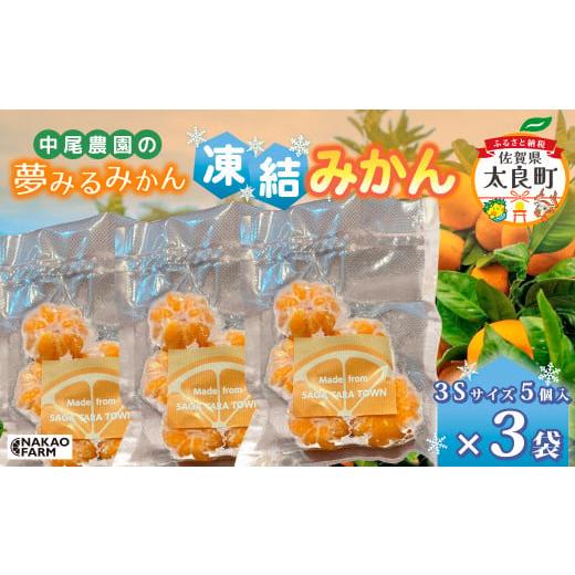 ふるさと納税 果物類 みかん 佐賀県 太良町 中尾農園の夢みるみかん 凍結みかん3Sサイズ5個入×3袋 数量限定 みかん ミカン 蜜柑 柑橘 小玉 凍結みかん フルー…